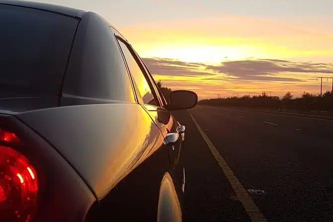 81